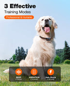 Remote Dog Training Collar with Beep & Vibration
