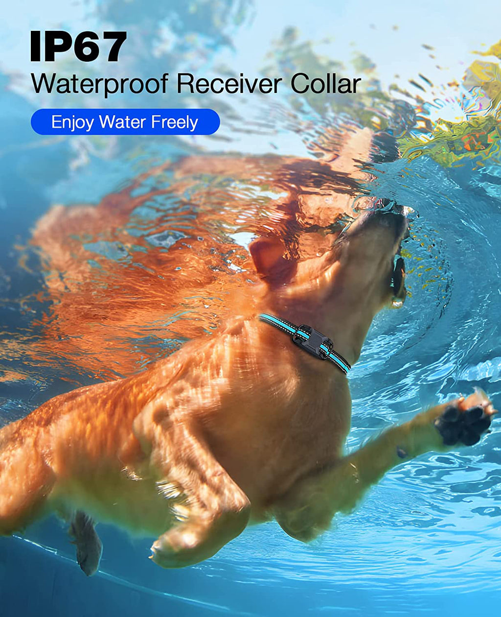Remote Dog Training Collar with Beep & Vibration