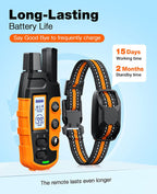 Remote Dog Training Collar with Beep & Vibration